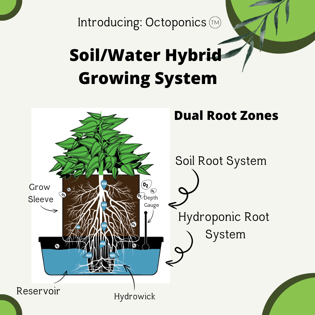 Unleashing Plant Potential with Octopot: The Hybrid Grow System Revolution