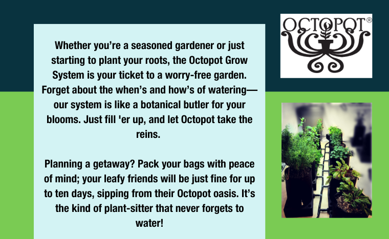 Thriving Gardens and Rave Reviews: The Octopot Success Story