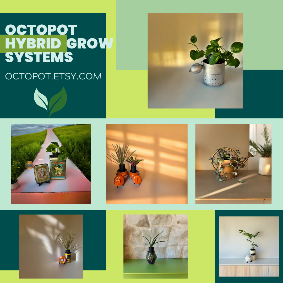 Vintage Charm Meets Modern Growth: The Octopot House Plant Revolution