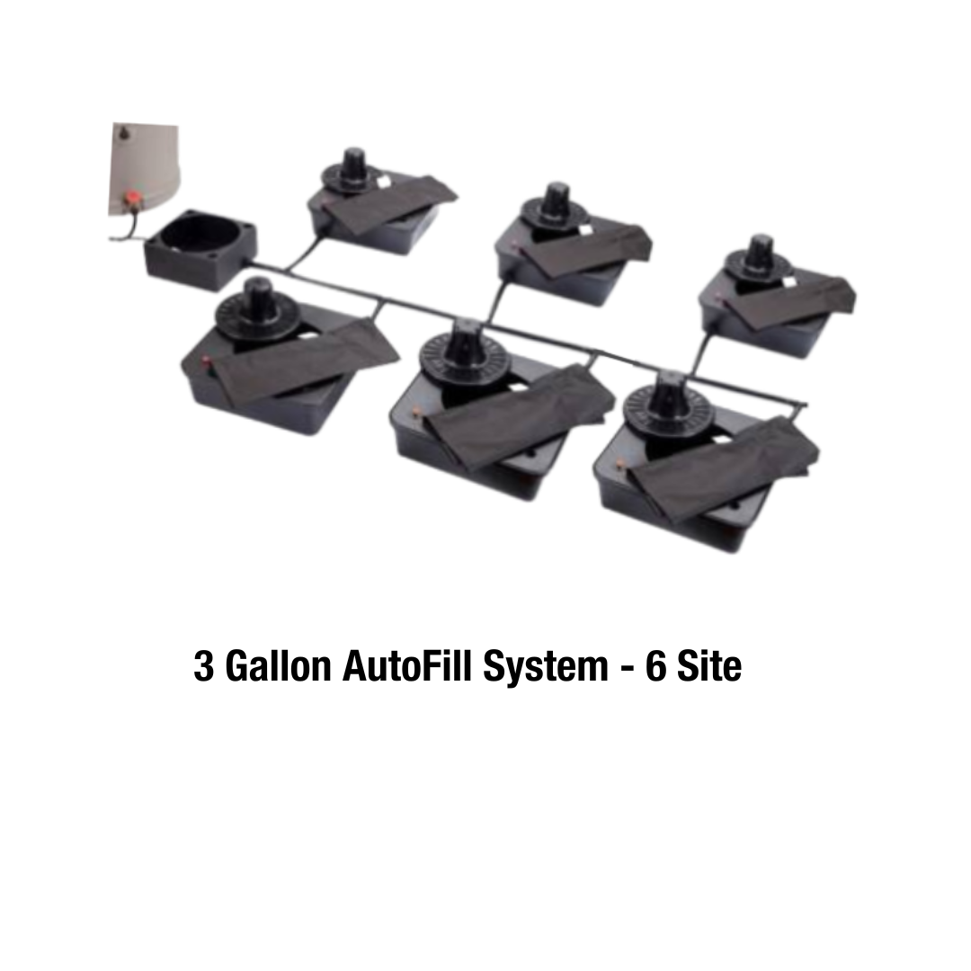 3 Gallon AutoFill System - 6 Site