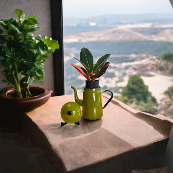 Vintage Olive Green Enamelware Coffee/Tea Kettle Planter with Croton Plant