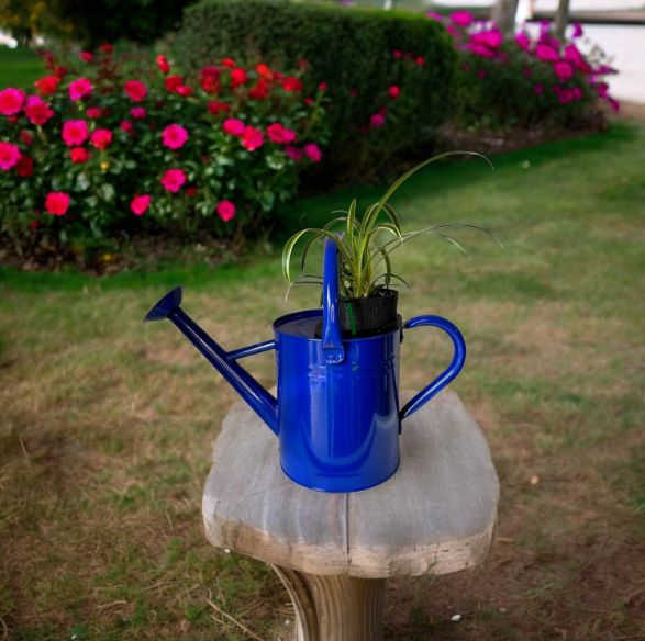 Cobalt Blue Self-Watering Indoor Planter with Vibrant Spider Plant