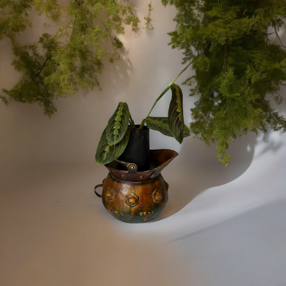 Vintage Copper Pitcher Planter with Lush Prayer Plant