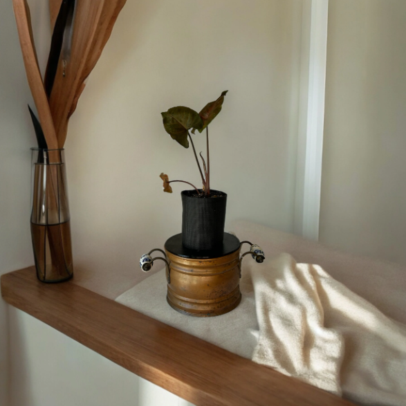 Rustic Brass Finish Planter with Arrowhead Plant