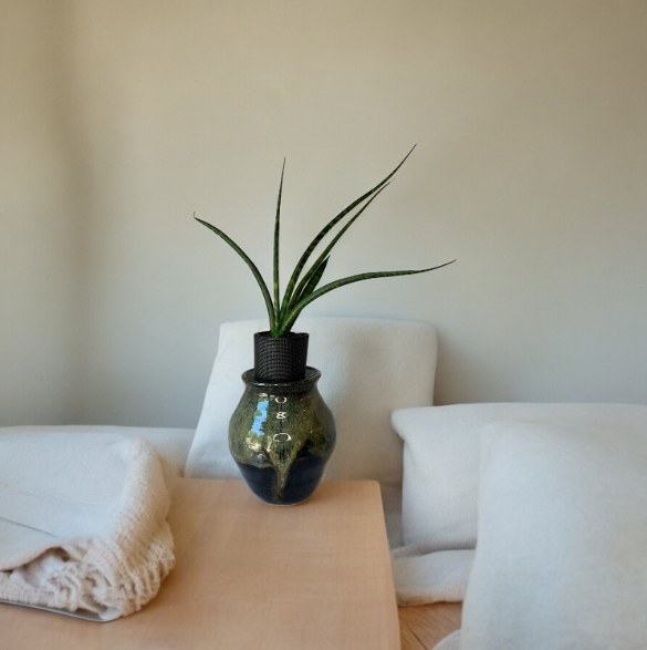 Handcrafted Drip Glaze Pottery Planter with Snake Plant